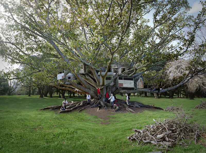 TREE DWELLERS - Anthony Goicolea